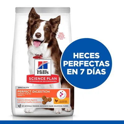 Hill's Science Plan Perfect Digestion para perros medianos 11–25 kg adulto 1+, con pollo y arroz integral. Texto visible: HECES PERFECTAS EN 7 DÍAS.