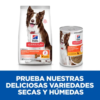 Hill's Science Plan Perfect Digestion para perros adultos, pienso seco y comida húmeda con pollo. Texto: Prueba nuestras deliciosas variedades secas y húmedas.