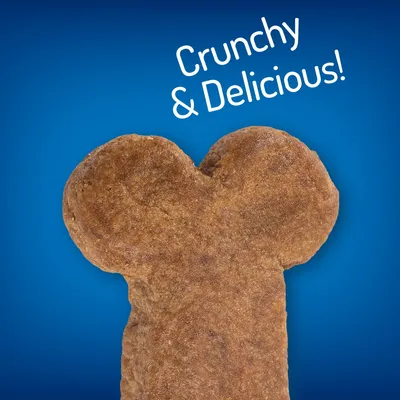 Crunchy & Delicious! (Engels) op afbeelding van een hondenkoekje