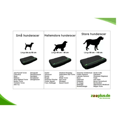 Størrelsesguide til hundesenge: små racer længde op til 60 cm, mellemstore 60–80 cm, store 80–140 cm. Eksempler på hunderacer vises under hver kategori.