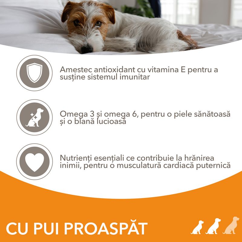 IAMS Advanced Nutrition Adult Small & Medium Dog Pui