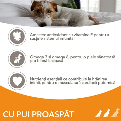 Amestec antioxidant cu vitamina E, omega 3 și omega 6 pentru piele și blană, nutrienți esențiali pentru inimă. Text: CU PUI PROASPĂT.