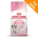 Royal Canin Kitten