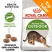 Royal Canin Outdoor Crocchette per gatto