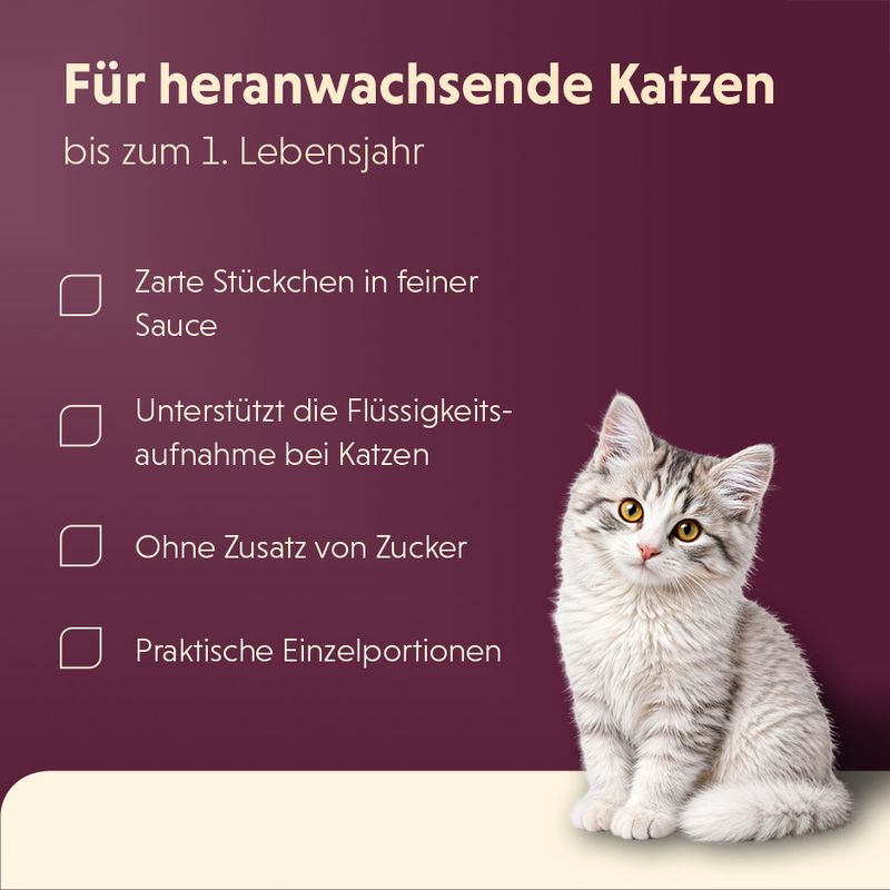animonda Vom Feinsten Kitten in Soße 12 x 85 g