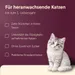 animonda Vom Feinsten Kitten in Soße 12 x 85 g