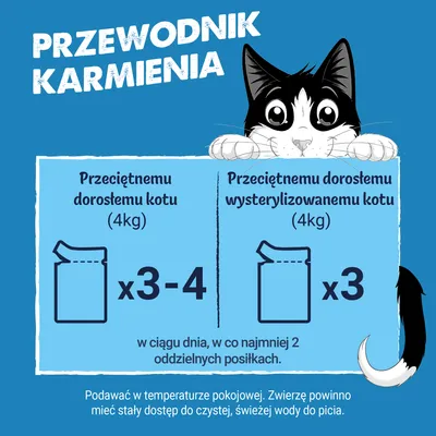 Megapakiet Felix Classic, saszetki w galarecie lub w sosie, 120 x 85 g - Wołowina i kurczak Megapakiet Felix Classic, saszetki w galarecie lub w sosie, 120 x 85 g - Wołowina i kurczak