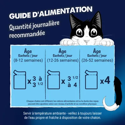 Recommandation d’alimentation pour chatons : 8-12 semaines 3 à 3,5 sachets, 12-26 semaines 3,5 à 4 sachets, 26-52 semaines 4 sachets par jour. Toujours laisser de l’eau fraîche à disposition. Recommandation d’alimentation pour chatons : 8-12 semaines 3 à 3,5 sachets, 12-26 semaines 3,5 à 4 sachets, 26-52 semaines 4 sachets par jour. Toujours laisser de l’eau fraîche à disposition.