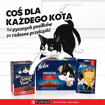 Megapakiet Felix Classic, saszetki w galarecie lub w sosie, 120 x 85 g - Wołowina i kurczak Megapakiet Felix Classic, saszetki w galarecie lub w sosie, 120 x 85 g - Wołowina i kurczak
