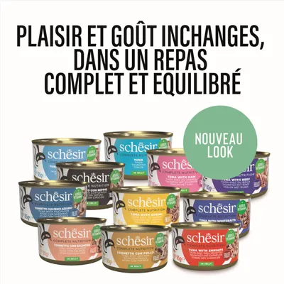 Schesir Complete Nutrition Filet en gelée 6 x 85 g pour chat Schesir Complete Nutrition Filet en gelée 6 x 85 g pour chat