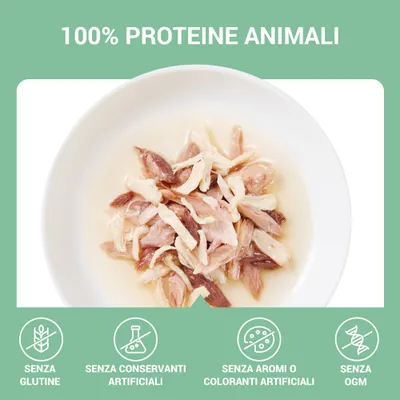 Schesir Complements in gelatina Alimento umido per gatti adulti, 6 x 70 g