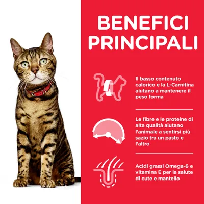 BENEFICI PRINCIPALI: Il basso contenuto calorico e la L-Carnitina aiutano a mantenere il peso forma. Fibre e proteine di alta qualità saziano. Omega-6 e vitamina E per cute e mantello.