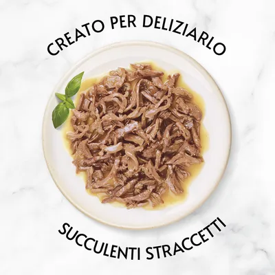 Testo: 'Creato per deliziarlo' in alto e 'Succulenti straccetti' in basso, piatto con straccetti di carne in salsa e foglia di basilico visibile.