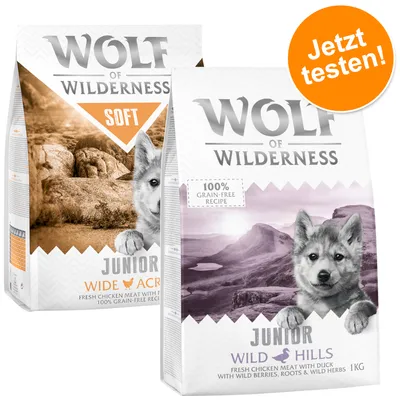 Wolf of Wilderness Junior Hundefutter, Sorten Wide Acres mit frischem Hühnchen und Wild Hills mit Ente. 100% getreidefreie Rezeptur. Jetzt testen!