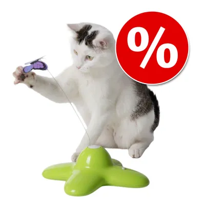 Gato jugando con juguete interactivo verde para gatos, mariposa en varilla y círculo rojo con símbolo de porcentaje (%) indicando oferta o descuento visible.