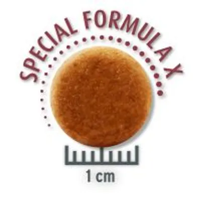 Krokettengröße 1 cm, Special Formula X. Kerek krokett forma méretaránnyal a méret megadásához.