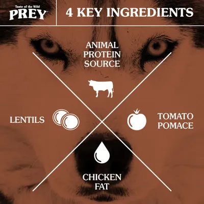 Taste of the Wild PREY, 4 KEY INGREDIENTS: ANIMAL PROTEIN SOURCE, LENTILS, TOMATO POMACE, CHICKEN FAT. Teksti englanniksi.