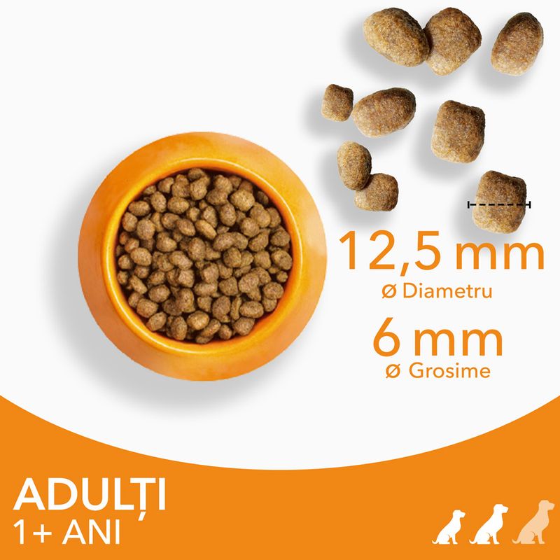 IAMS Advanced Nutrition Adult Small & Medium Dog Pui