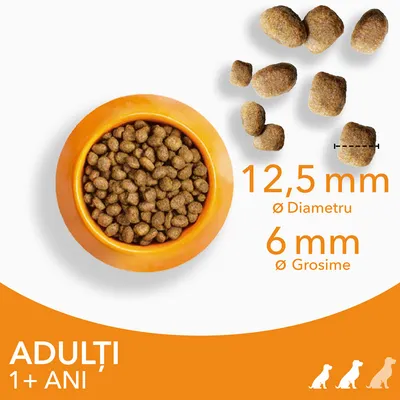 Granule pentru câini adulți 1+ ani, diametru 12,5 mm, grosime 6 mm, prezentate într-un bol portocaliu și individual. Text vizibil: ADULȚI 1+ ANI, 12,5 mm diametru, 6 mm grosime.