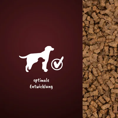 Grafik mit Hundesilhouette, Häkchen und Text: optimale Entwicklung. Rechts daneben Nahaufnahme von braunen Futterstücken.