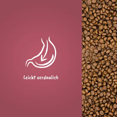 Texte en allemand : Leicht verdaulich, à côté de croquettes pour animaux. Illustration d’un estomac avec flèche.