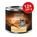 Lot Wild Freedom Kitten 12 x 200 g pour chaton