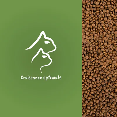Croquettes marron en vrac, texte visible : Croissance optimale, silhouettes de chien et chat dessinées en blanc sur fond vert.