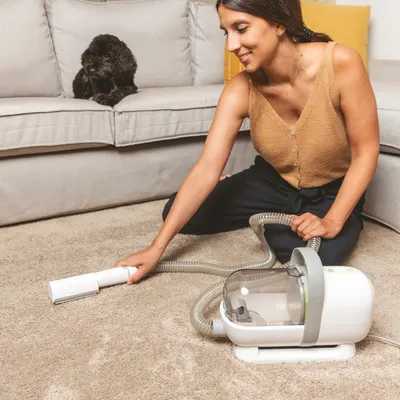 Woman using a pet hair vacuum cleaner on a carpet while a black dog sits on the sofa.