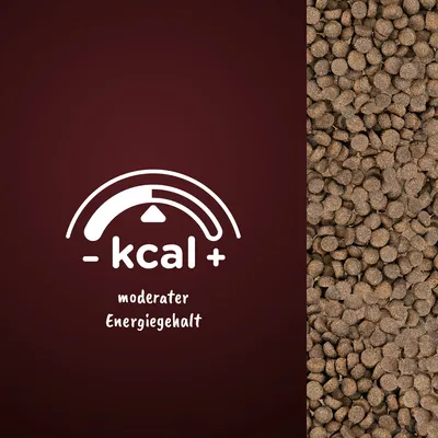 Moderater Energiegehalt, Symbol mit Skala und Text '- kcal +'. Rechts Abbildung von braunen Trockenfutterstücken.