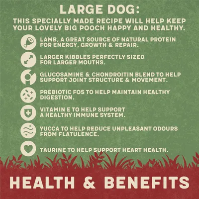 Large dog food benefits: lamb protein, larger kibbles, glucosamine and chondroitin for joints, prebiotic FOS, vitamin E, yucca for odours, taurine for heart health. Health & Benefits.