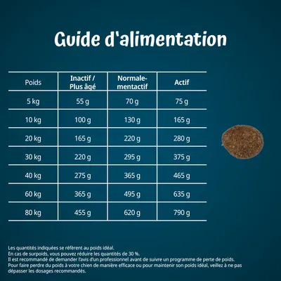 Guide d’alimentation pour chiens : tableau des quantités journalières selon poids (5–80 kg) et niveau d’activité (inactif, normalement actif, actif), valeurs de 55 à 790 g.