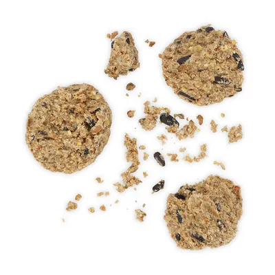 Nahaufnahme von zerbrochenen, körnigen Hundekeksen mit sichtbaren schwarzen und braunen Zutaten.