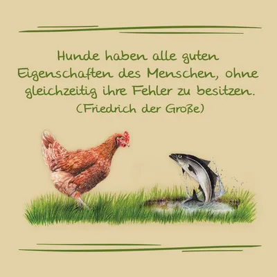 Saksankielinen teksti: Hunde haben alle guten Eigenschaften des Menschen, ohne gleichzeitig ihre Fehler zu besitzen. (Friedrich der Große)