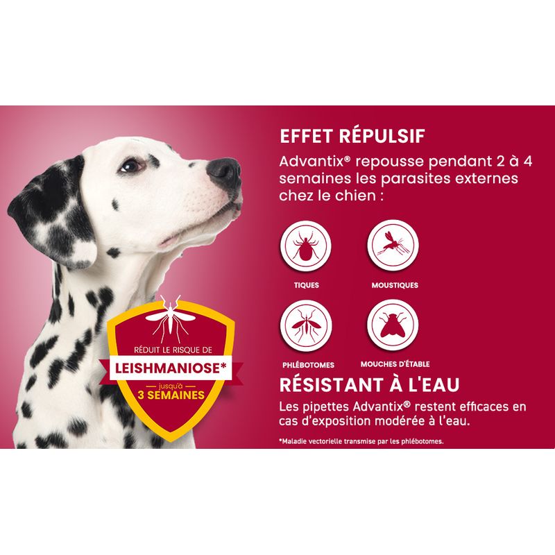 Advantix® très grand chien, de 40 kg à 60 kg
