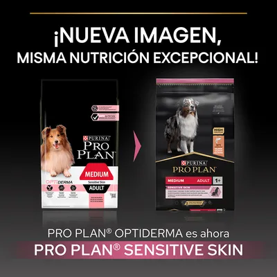 Comparación de envases: Purina Pro Plan Optiderma Medium Sensitive Skin Adult cambia a Pro Plan Sensitive Skin Medium Adult 1+. Texto: '¡Nueva imagen, misma nutrición excepcional!'.