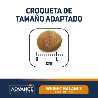 Croqueta de tamaño adaptado, diámetro visible de 1 cm. Texto: ADVANCE VETERINARY DIETS WEIGHT BALANCE MEDIUM MAXI +10 kg.
