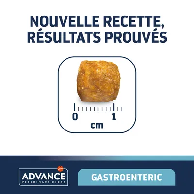 Nouvelle recette, résultats prouvés. Croquette Advance Veterinary Diets Gastroenteric, taille environ 1 cm.