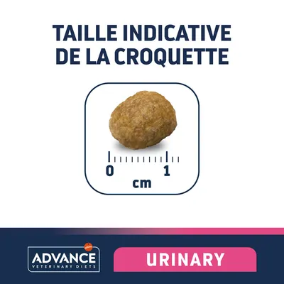 Taille indicative de la croquette Advance Veterinary Diets Urinary, diamètre environ 1 cm, texte visible : URINARY.