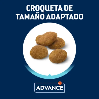 Croqueta de tamaño adaptado. Imagen de croquetas Advance affinity sobre fondo blanco y azul.