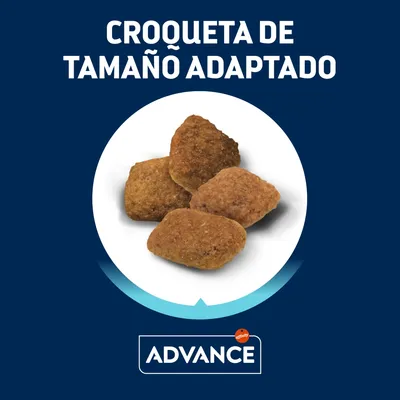 Croqueta de tamaño adaptado, imagen de varias croquetas Advance. Texto visible: 'CROQUETA DE TAMAÑO ADAPTADO'. Marca: Advance affinity.
