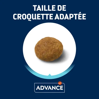 Taille de croquette adaptée, visuel d’une croquette ronde, marque Advance visible en bas de l’image.