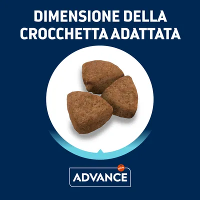 Tre crocchette triangolari con testo: 'Dimensione della crocchetta adattata'. Marchio visibile: Advance affinity.