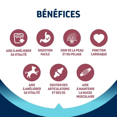 BÉNÉFICES : aide à améliorer sa vitalité, digestion facile, soin de la peau et du pelage, fonction cardiaque, soutien des articulations et des os, aide à maintenir la masse musculaire.
