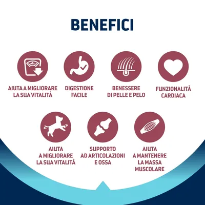 BENEFICI: aiuta a migliorare la sua vitalità, digestione facile, benessere di pelle e pelo, funzionalità cardiaca, supporto ad articolazioni e ossa, aiuta a mantenere la massa muscolare.