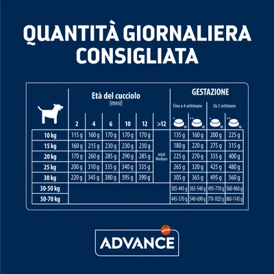 Tabella Advance: quantità giornaliera consigliata per cuccioli e gestazione, suddivisa per peso del cane (10–70 kg) ed età in mesi; valori da 115 g a 1145 g al giorno.