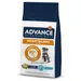 Advance Veterinary Diets Weight Balance Mini para cães