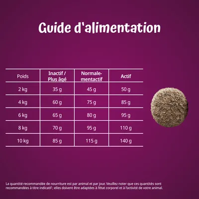 Guide d’alimentation : tableau des quantités recommandées par poids (2–10 kg) et niveau d’activité (inactif, normalement actif, actif), valeurs de 35 g à 140 g par jour.