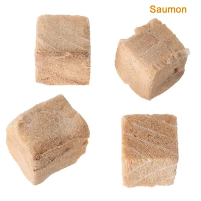 Quatre cubes de friandises avec texture fibreuse, couleur beige clair. Texte visible : Saumon.