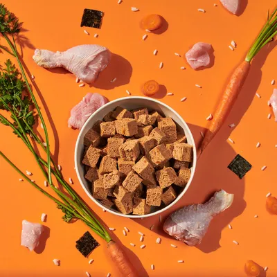 Bowl of cubed pet food surrounded by raw chicken pieces, carrots, rice grains and seaweed on an orange background, showing visible ingredients used in the product.