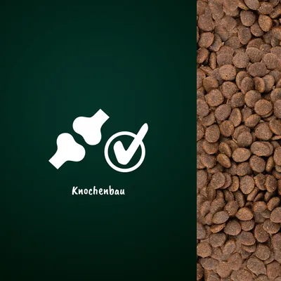 Symbol für Knochenbau mit Häkchen und Trockenfutter. Hinweis auf Unterstützung des Knochenbaus durch das Produkt.